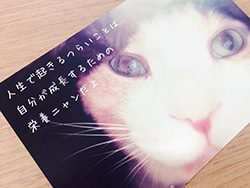 michelcard